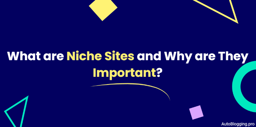 What are Niche Sites and Why are They Important?
